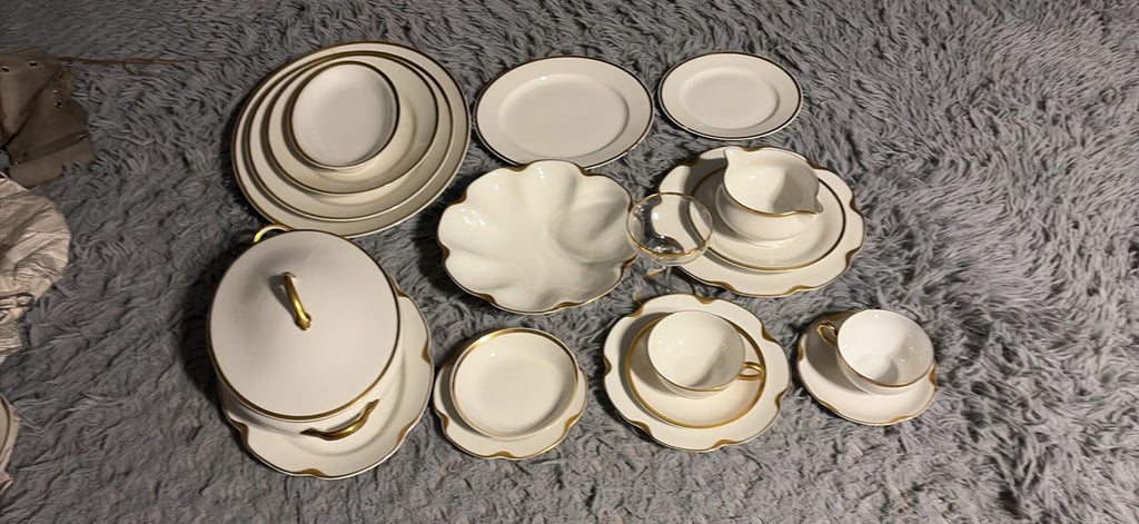 Haviland Limoges Dinnerware