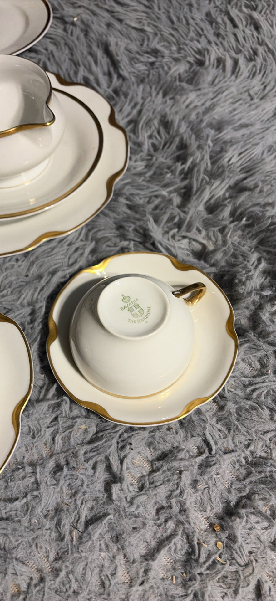 Haviland Limoges Dinnerware