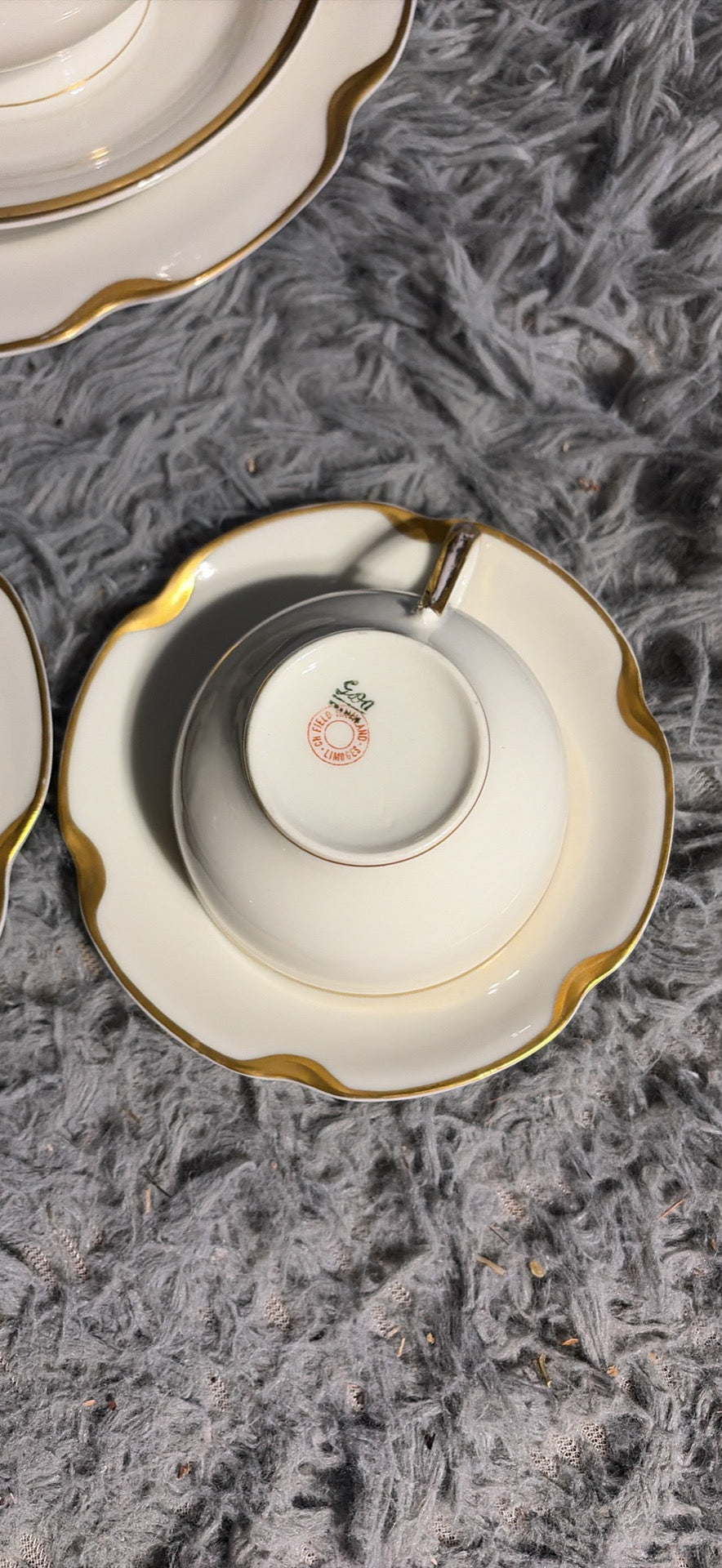 Haviland Limoges Dinnerware