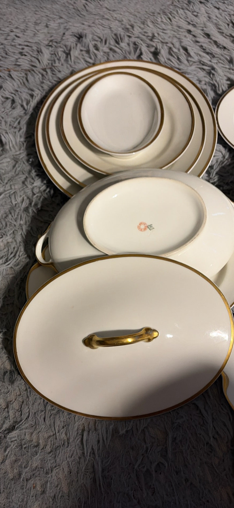Haviland Limoges Dinnerware