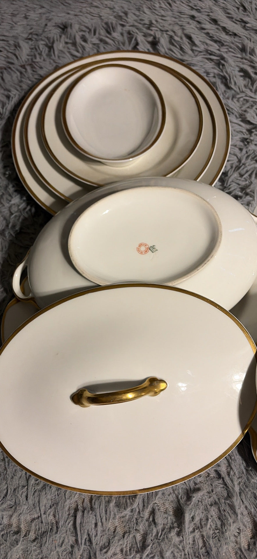 Haviland Limoges Dinnerware