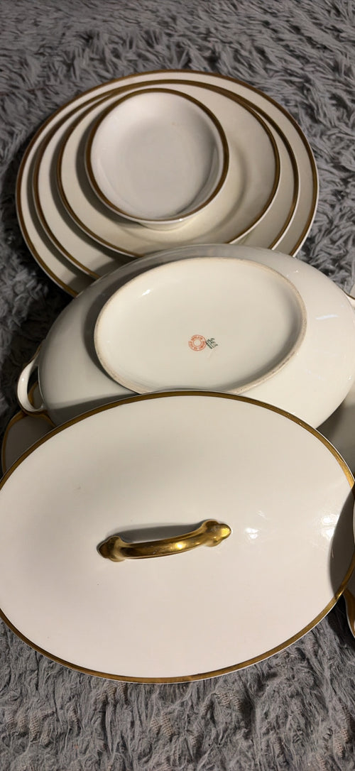 Haviland Limoges Dinnerware